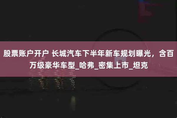 股票账户开户 长城汽车下半年新车规划曝光，含百万级豪华车型_哈弗_密集上市_坦克